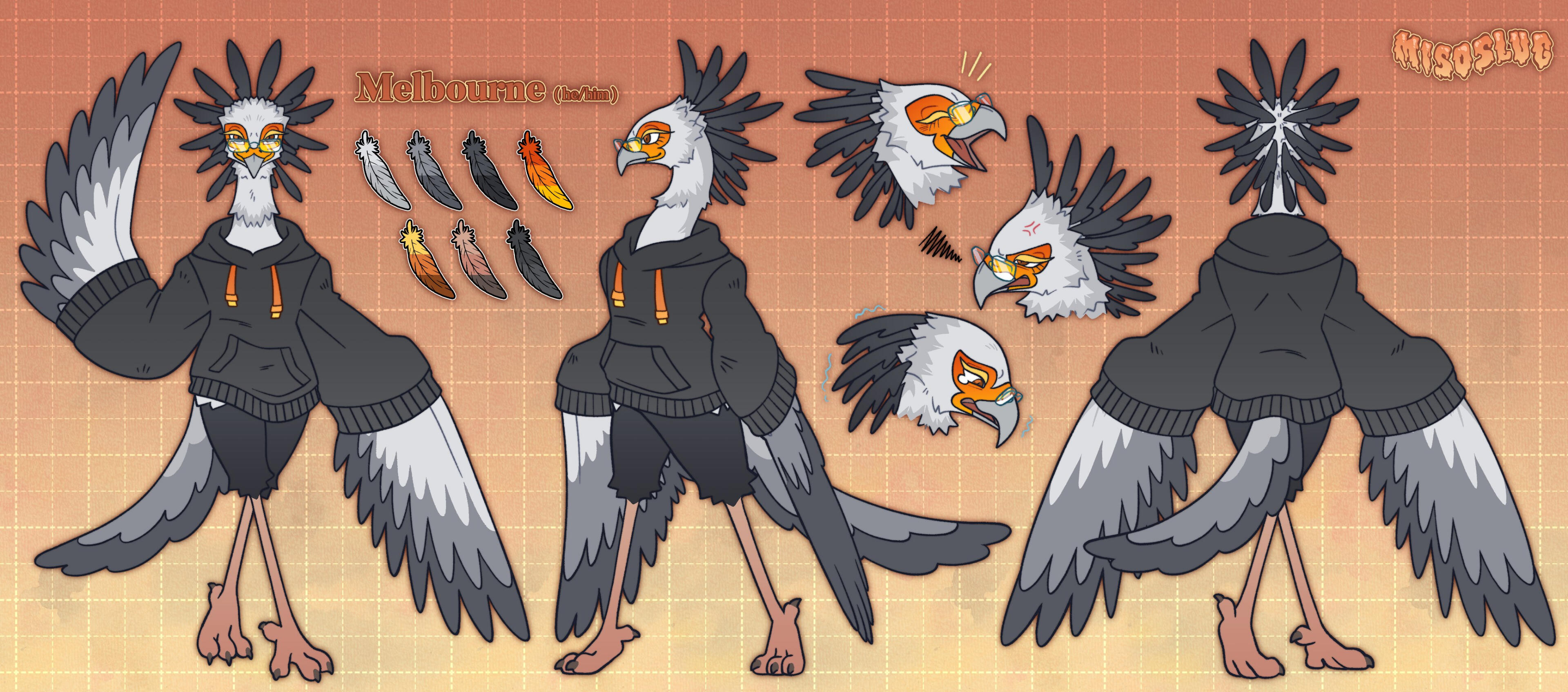 Reference sheet of a bird character design